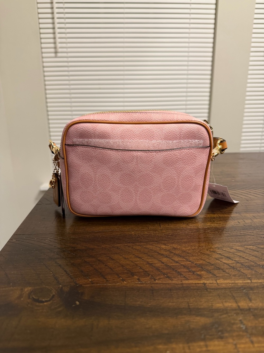 Coach Outlet Mini Carey Crossbody Bag In Signature Canvas With Charms - Picture 3 of 8
